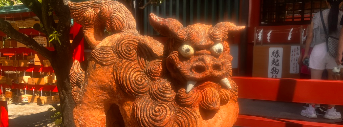 What Kelly is laughing about